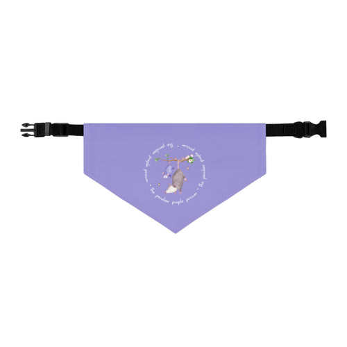 Pet Bandana Collar